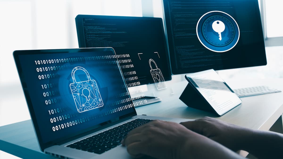 Network Security Essentials for Idaho Falls Businesses